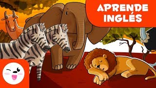 Aprende inglés  Los animales de la sabana para niños  Vocabulario de inglés [upl. by Nacul371]