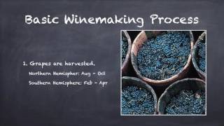 Basics of Winemaking [upl. by Adnaram]