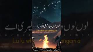 status qawwali sufism viralvideo [upl. by Atiz79]