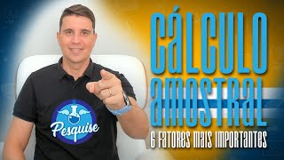 6 FATORES MAIS IMPORTANTES PARA O CÁLCULO AMOSTRAL [upl. by Adlemy]