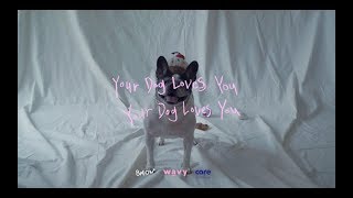 Colde 콜드  Your Dog Loves You Feat Crush Official Video [upl. by Alamac]