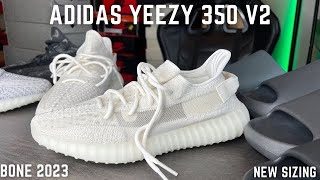 Adidas Yeezy Boost 350 V2 Bone 2023 On Feet Review New Sizing Tips [upl. by Ilzel153]