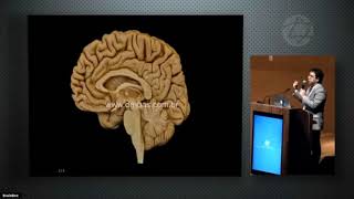 Revisão de Neuroanatomia  Dr Eduardo Carvalhal Ribas [upl. by Garnet994]