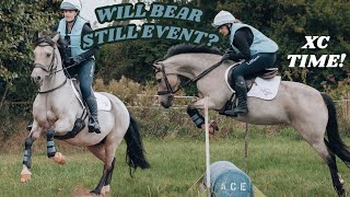 Bear Goes XC For The First Time In 5 Years [upl. by Drobman]