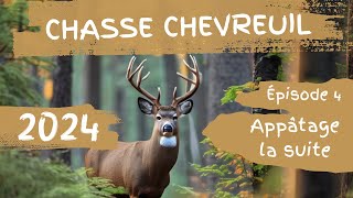 Chasse chevreuil 2024 Appâtage suite Ep4 [upl. by Jenelle]