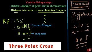 Three Point Cross  Linkage Mapping [upl. by Auhso]