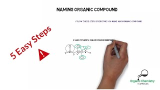 Naming Organic Compounds  IUPAC  5 Easy Steps To Name Multifunctional Aliphatic Compound [upl. by Dorrie]