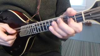 Cooleys Reel with Tabs  Mandolin Lesson [upl. by Billye]