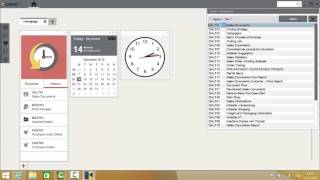 canias ERP Live Demo English [upl. by Dennard]