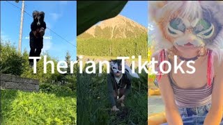 Therian Tiktoks Comp pt4 therian quadrobics therianedit tiktok therianlife therians [upl. by Nhabois]