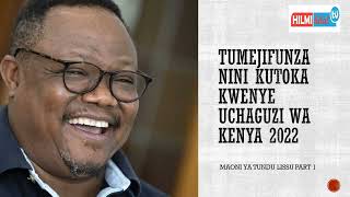 Maoni ya Tundu Lissu kuhusu Uchaguzi wa Kenya 2022 part 1 [upl. by Parker]