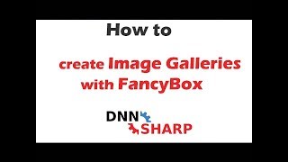 Create an imagevideo gallery with FancyBox on your DNN website [upl. by Modnarb903]