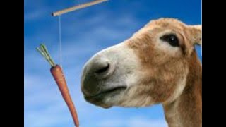 Carrot and the Stick [upl. by Conchita]