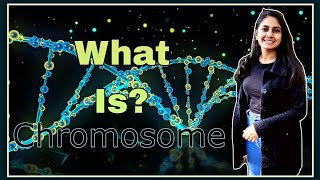 What Is Chromosome  Chromosome in Hindi [upl. by Eednahs857]