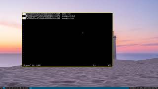 Using the md5sum Command [upl. by Dare]