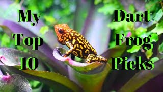 My Top 10 Favorite Dart Frogs [upl. by Analaj]