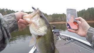 Winter Fishing at Wedowee using the NEW Mooch Minnow Nov 2024 [upl. by Brag712]