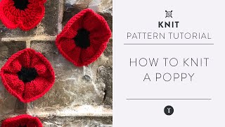 Easy Knit Poppy Pattern with Marly Bird  Beginner Tutorial [upl. by Rechaba]