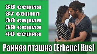 Ранняя пташка Erkenci Kus  1 сезон 36 37 38 39 40 серии  турецкий сериаланонс сюжет [upl. by Amalburga]