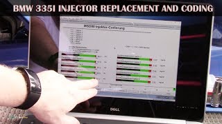 How to change BMW fuel injectors and code them with INPA [upl. by Quennie169]