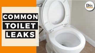 How To Find My Toilet Leak  Common Toilet Leaks  DIY Toilet Repair [upl. by Eatnod334]