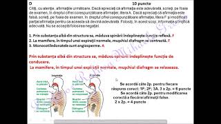 BACALAUREAT BIOLOGIE VEGETALA  test antrenament rezolvat [upl. by Ellives]