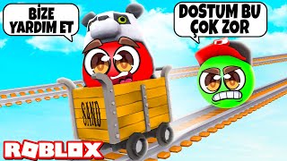 Kart Oyunu Ama Top Olduk 😂  Roblox Cart ride but youre a ball [upl. by Benisch]