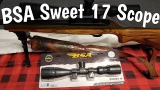 BSA Sweet 17 312x40mm  Best 17hmr Scope Under 80 at Sportsmans Guide [upl. by Ymaj]