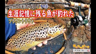 【渓流釣り】生涯記憶に残る魚が釣れた！九州の渓流でブラウントラウトを狙う その② [upl. by Oidualc]