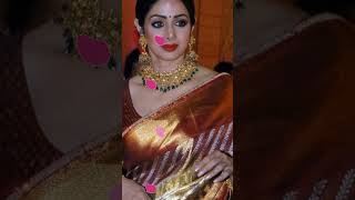 Best Of Sridevi You tube Shorts Video shorts shortsfeed [upl. by Eladnwahs]