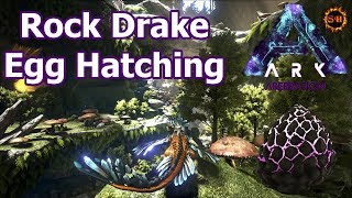 Rock Drake Egg ► Location amp Hatching ► ARK Aberration Expansion Gameplay [upl. by Nerland493]