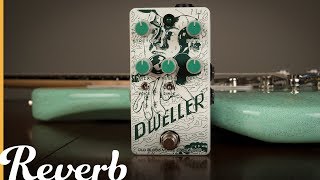 Old Blood Noise Endeavors Dweller Phase Repeater  Reverb Tone Report [upl. by Colinson]