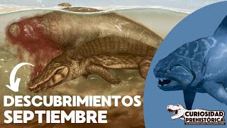 ¡Dunkleosteus vuelve a cambiar  DESCUBRIMIENTOS SEPTIEMBRE 2024 [upl. by Ridley]