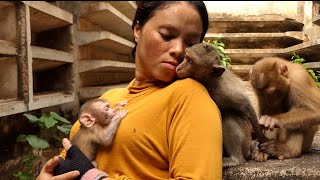 Rescue New abandoned Nova By KT  Newborn Macaque  Do love Abandoned monkey  Primate [upl. by Nimar]