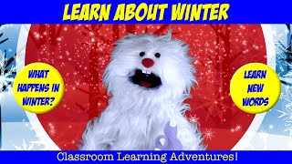 LEARN ABOUT WINTER  winter theme preschool kindergarten [upl. by Eeimaj]