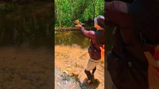 Unbelievable Catch Kingfisher on the Hook 😱 Watch This 🐦 shorts kingfisher hookfishing [upl. by Eiuol]