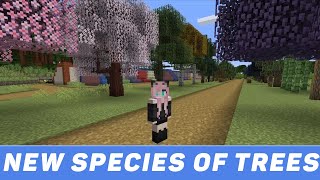 Biomes O Plenty 1122 Mod Showcase [upl. by Helbonnas]