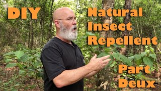 Natural Insect Repellent with Beautyberry part Deux [upl. by Aliel838]