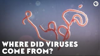 Where Did Viruses Come From [upl. by Annawaj]