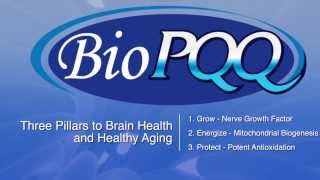 BioPQQ  Three Pillars to Brain Health and Healthy Aging [upl. by Llemar839]