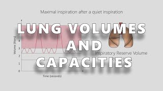 Lung Volumes and Capacities  Respiratory Physiology made easy [upl. by Sacrod810]