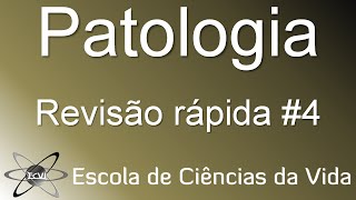 Revisão rápida de Patologia 4 Síndrome Nefrótica e Nefrítica [upl. by Sucrad]