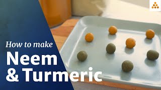 Neem amp Turmeric Balls  Morning Supplement Recipe  Yogic Superfood  Sadhguru [upl. by Ynneg42]