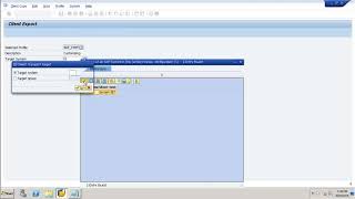 SAP Basis  Import Export Client [upl. by Neumeyer]