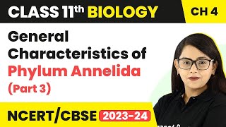 General Characteristics of Phylum Annelida Part 3  Class 11 Biology Chapter 4  NCERTCBSE [upl. by Wemolohtrab]