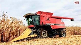 MASSEY FERGUSON 9790 Combine Harvesting Corn [upl. by Lira318]