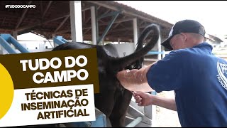 Inseminação Artificial em Bovinos [upl. by Downes]