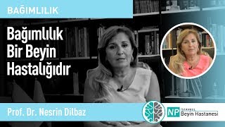 Bağımlılık Bir Beyin Hastalığıdır  Prof Dr Nesrin Dilbaz [upl. by Ecnav]