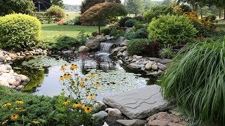 How to Keep Your Pond Water Clear [upl. by Witt41]