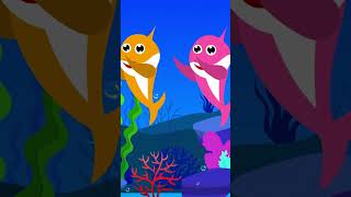 Little Baby Shark Dance Baby Shark doo doo doo Under seaworld Nursery rhymes Kids Song [upl. by Amsirhc]